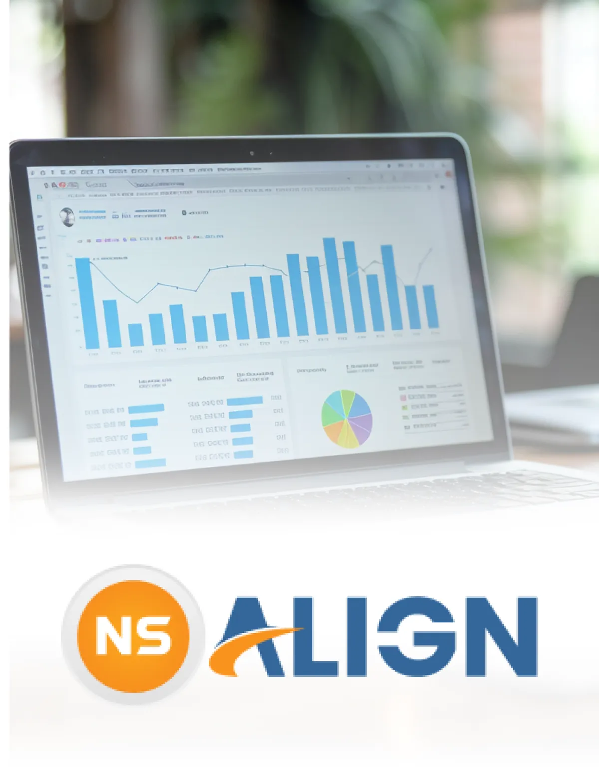NS ERP Dashboard